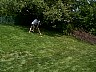 P0000388.jpg